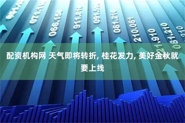 配资机构网 天气即将转折, 桂花发力, 美好金秋就要上线