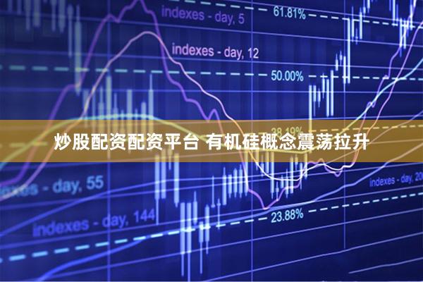 炒股配资配资平台 有机硅概念震荡拉升
