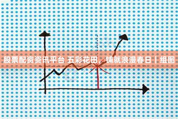 股票配资资讯平台 五彩花田，铺就浪漫春日｜组图