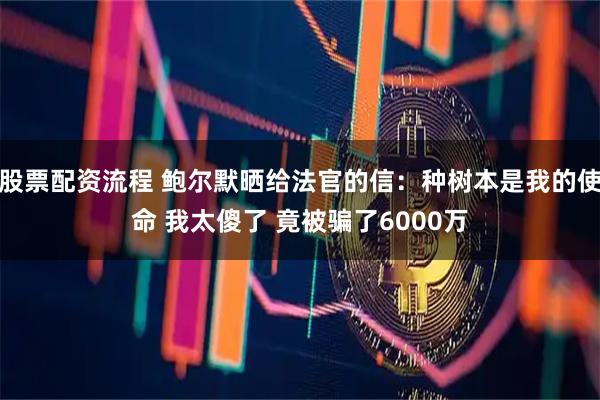 股票配资流程 鲍尔默晒给法官的信：种树本是我的使命 我太傻了 竟被骗了6000万