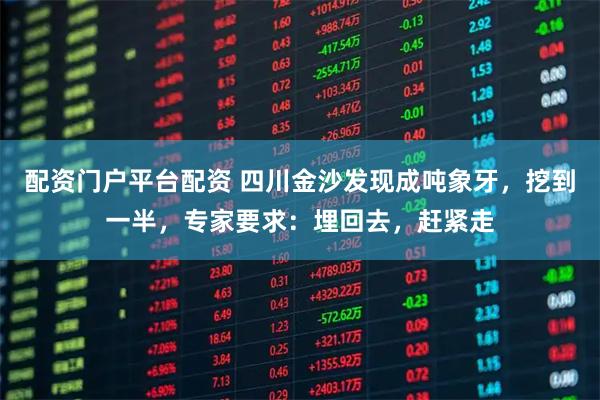 配资门户平台配资 四川金沙发现成吨象牙，挖到一半，专家要求：埋回去，赶紧走